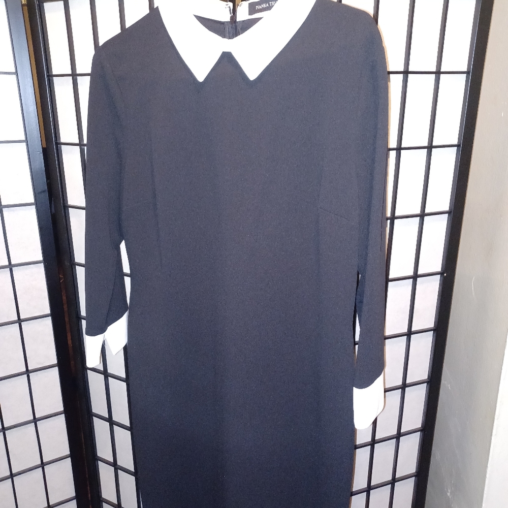 Ivanka Trump Black Dress /White Collar & Sleeves